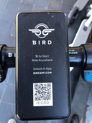 bird e scooter kaufen und mieten