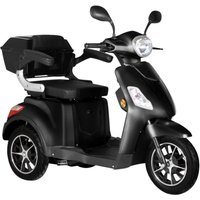 Didi Thurau Bologna Elektromobil
