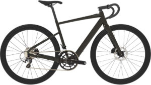 Cannondale Topstone Neo SL 2