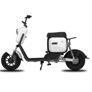 Madat Luqi Q3 Elektroroller E Roller E Scooter E Moped 25km/h 30 Ah Akku 50-60km