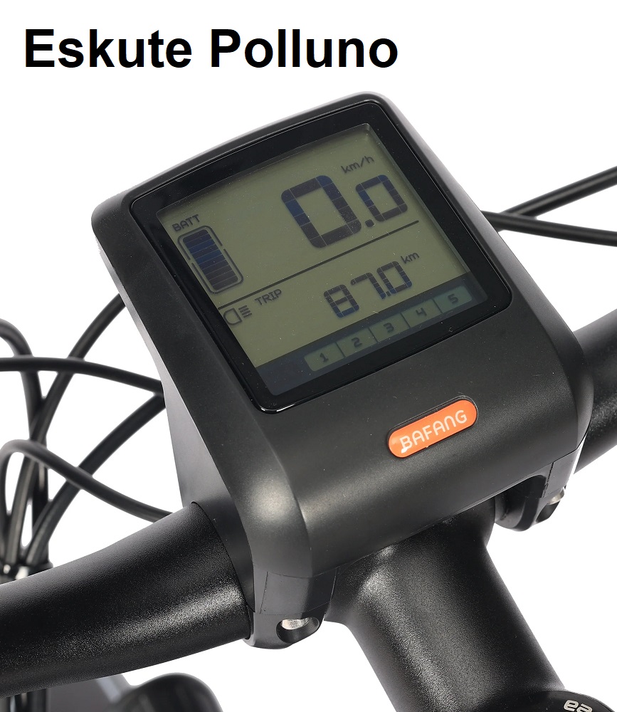 Eskute polluno Tachodisplay