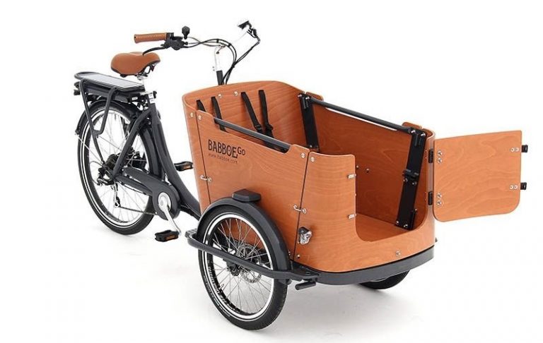 Babboe Go E-Lastenrad für Hunde und Kinder