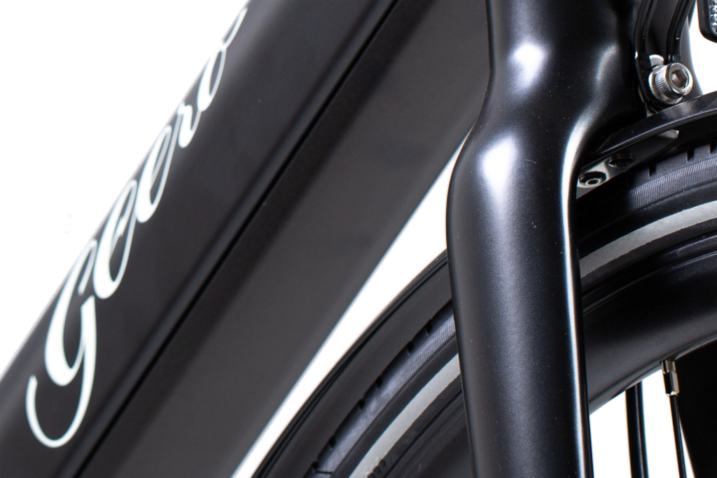 Geero 2 E Bike Akku