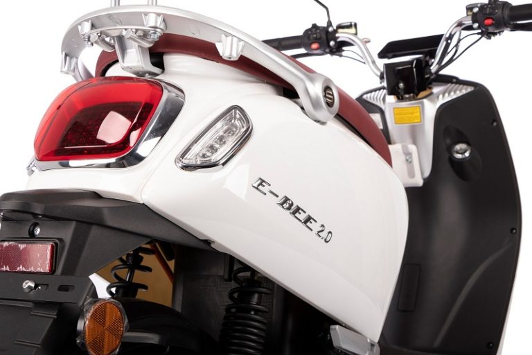 Saxxx E Bee 2.0 mit Hinterradmotor