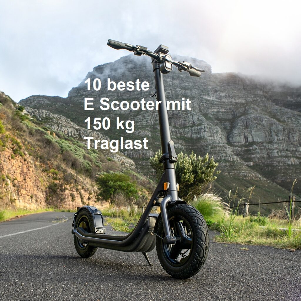 10 beste E Scooter mit hoher Traglast bis 150 kg im Test